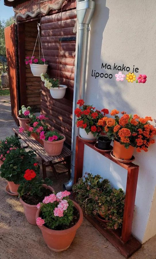 Rooms Ive Lozovac Exterior photo